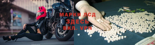 стафф Абинск