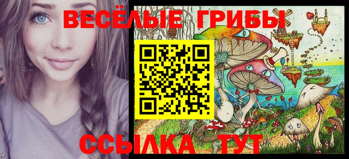 Псилоцибиновые грибы Cubensis  где купить наркоту  Зеленогорск  Вход с VPN 